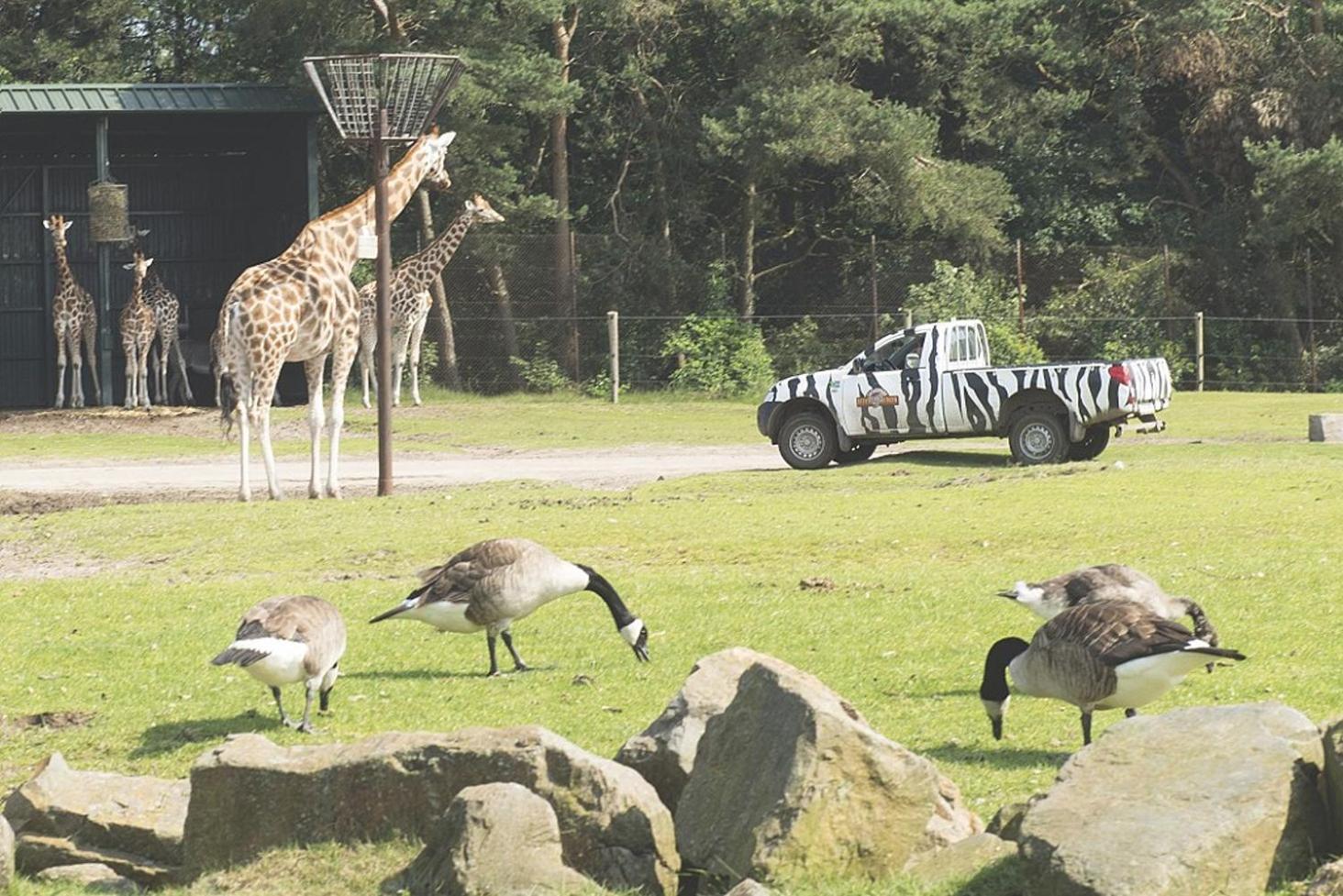 Camping Marvilla Parks Kaatsheuvel - Roan Extérieur photo